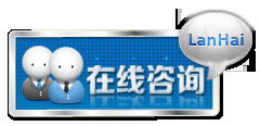 專業網絡技術服務領航者——藍海網絡公司
